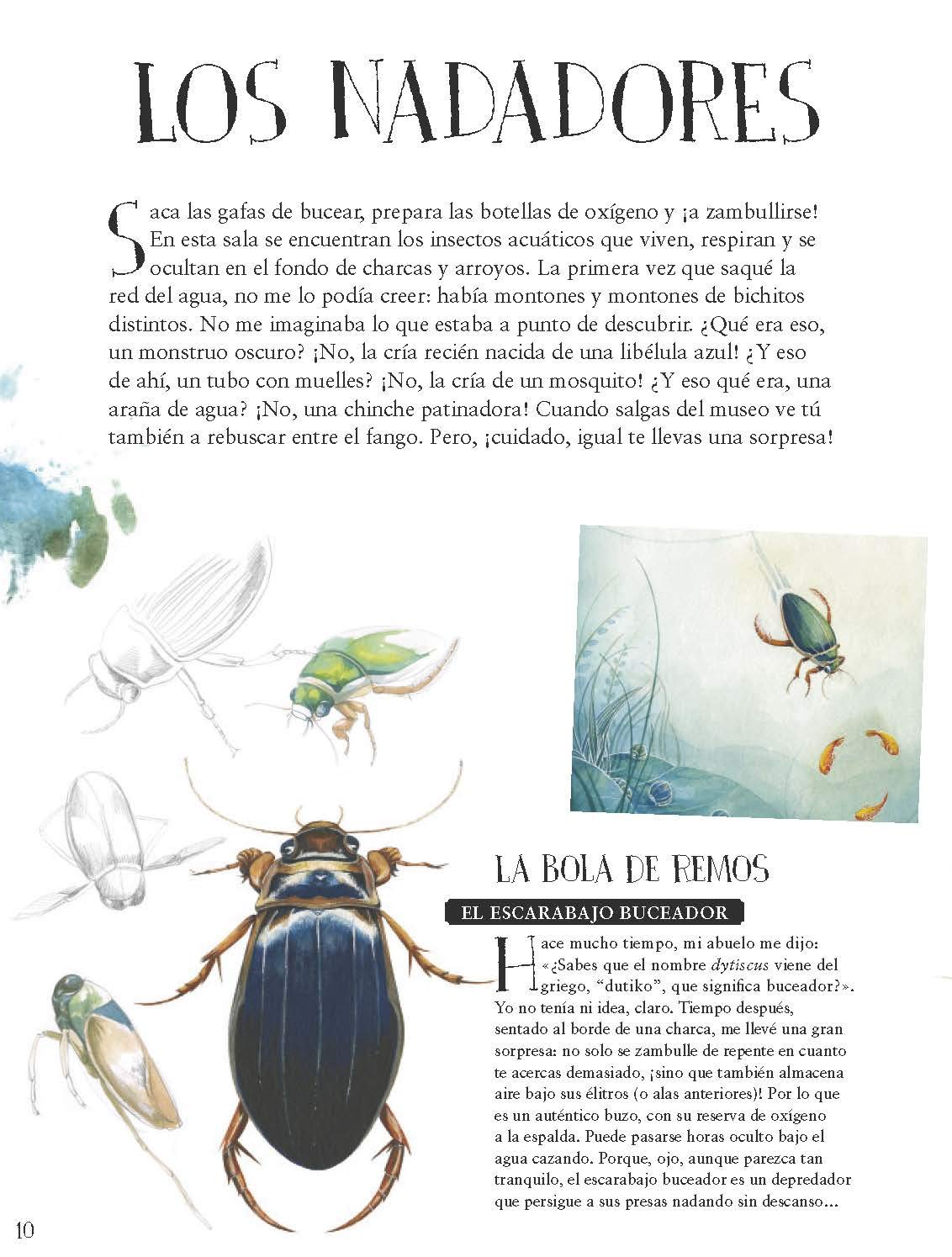 Libro- Museo vivo de los insectos